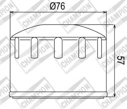 Olejový filtr CHAMPION 100609075 COF084