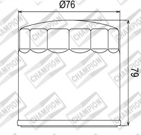 Olejový filtr CHAMPION 100609135 COF063