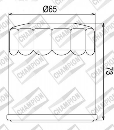 Olejový filtr CHAMPION 100609745 COF077