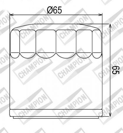 Olejový filtr CHAMPION 100609765 COF453