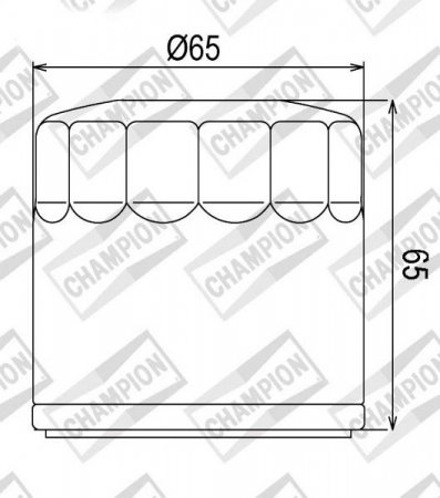 Olejový filtr CHAMPION 100609795 COF454