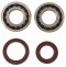 Main bearing & seal kits HOT RODS